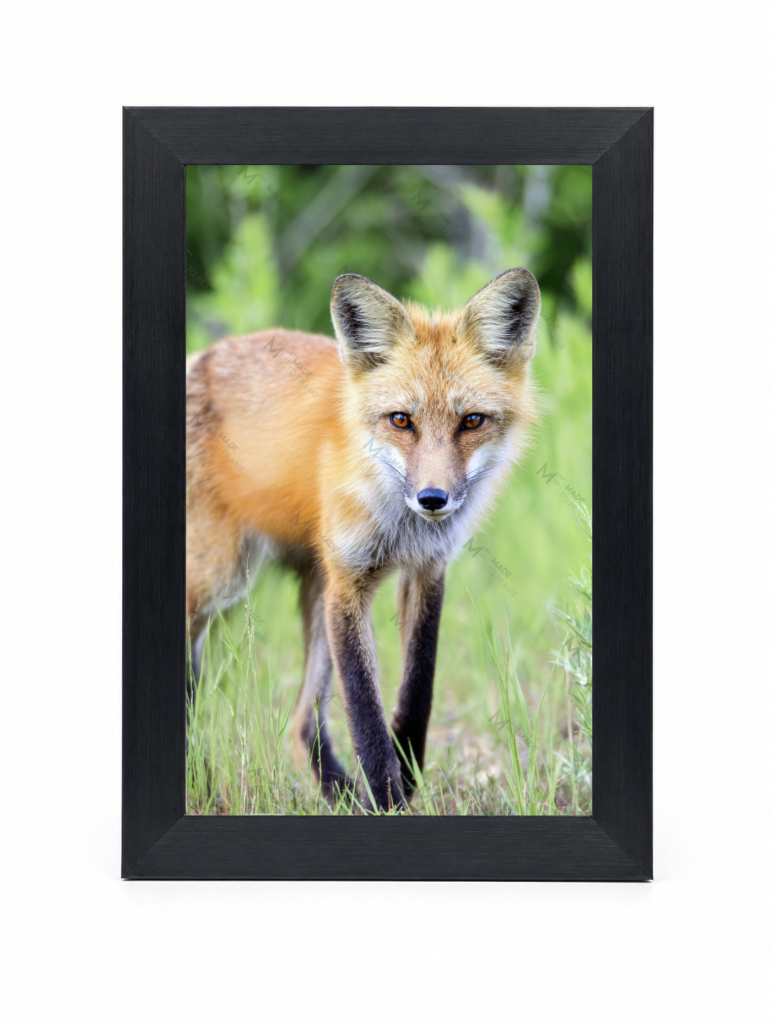4x6 Front Black (1)