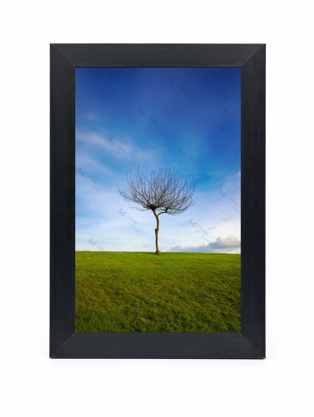 4x6 Front Black (12)