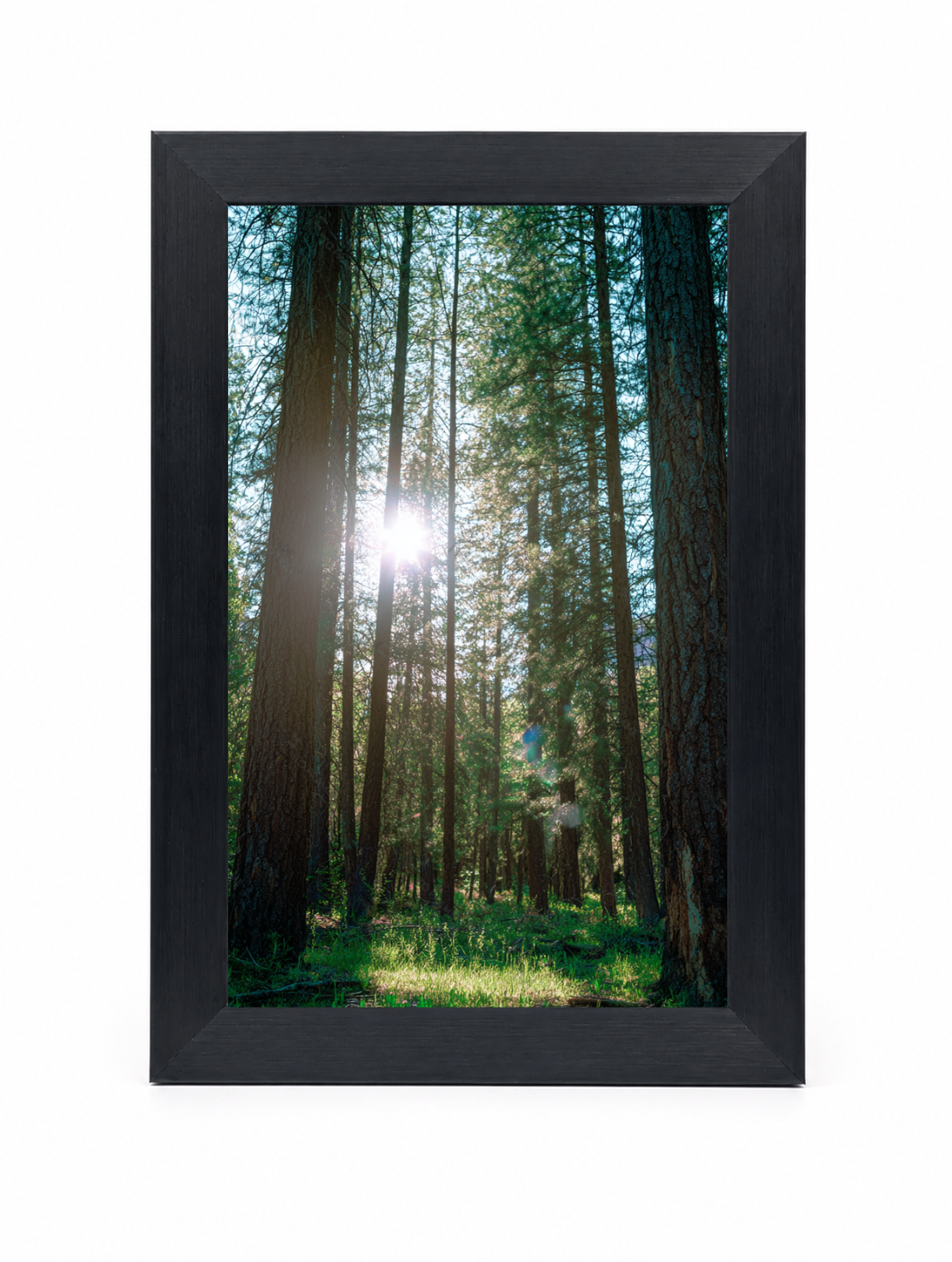 4x6 Front Black (14)