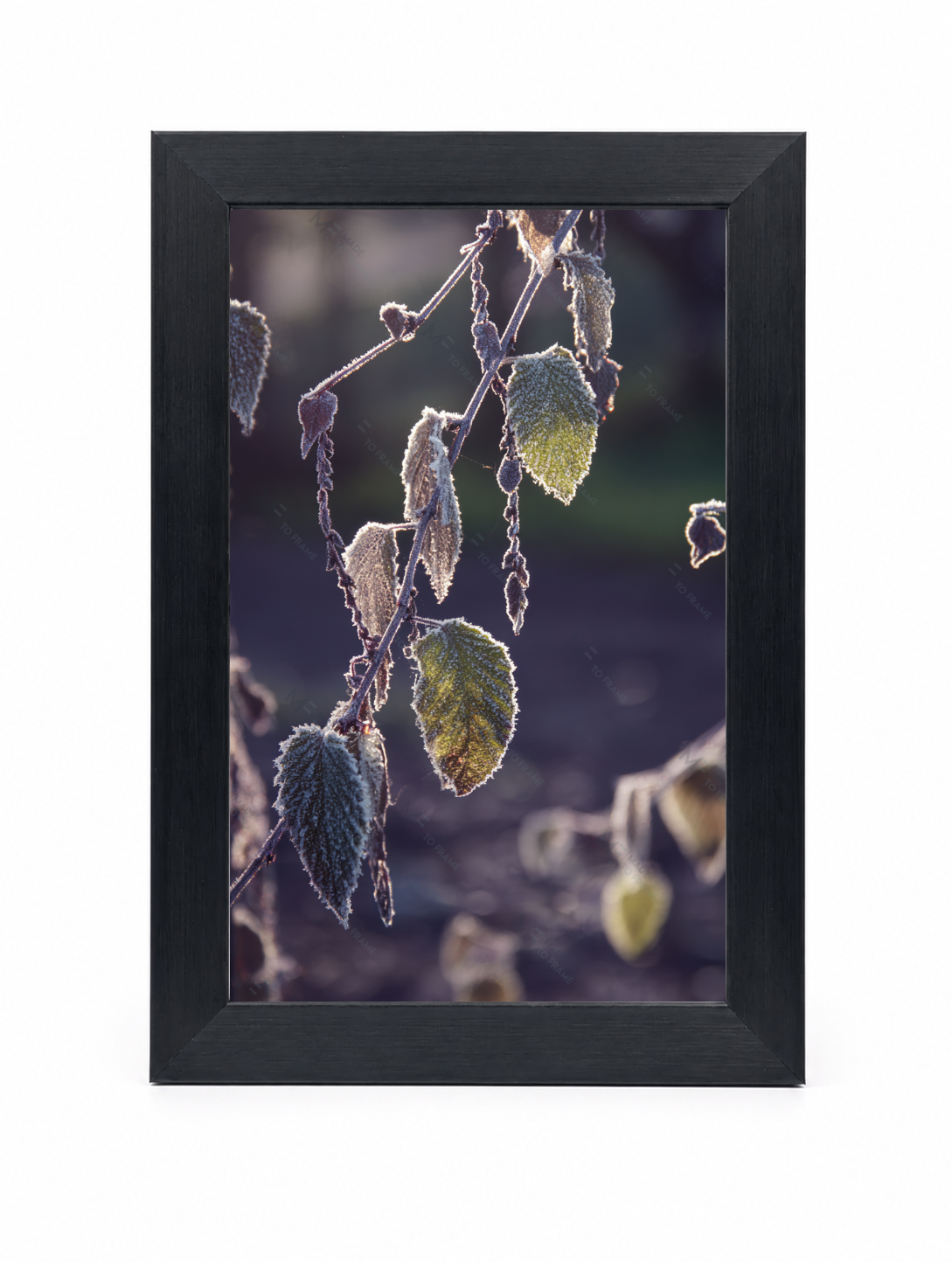 4x6 Front Black