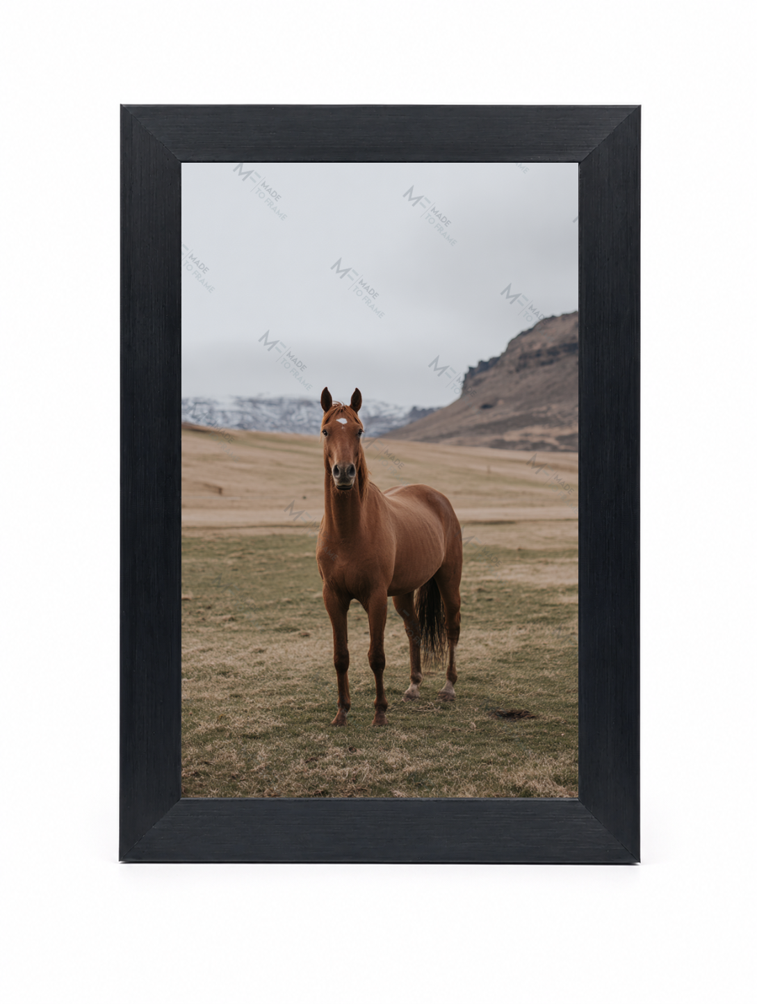 4x6 Front Black (2)