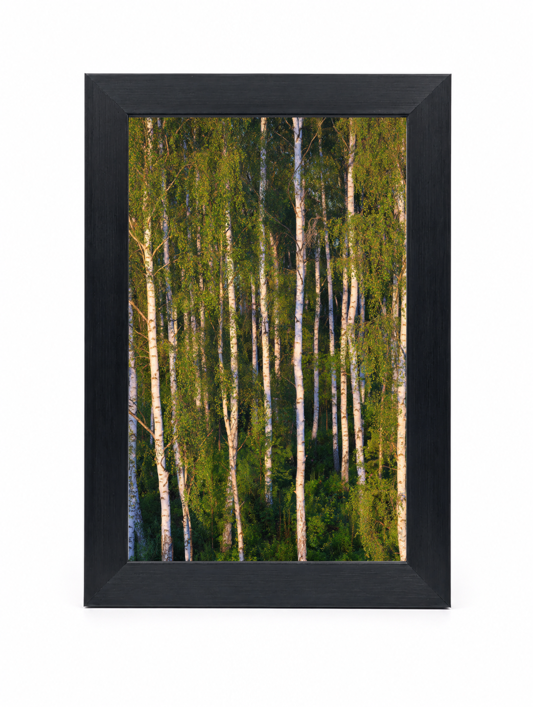4x6 Front Black