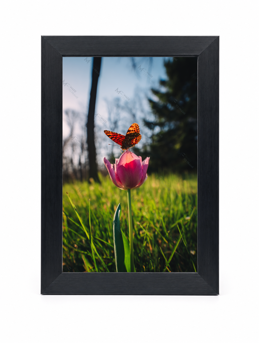 4x6 Front Black
