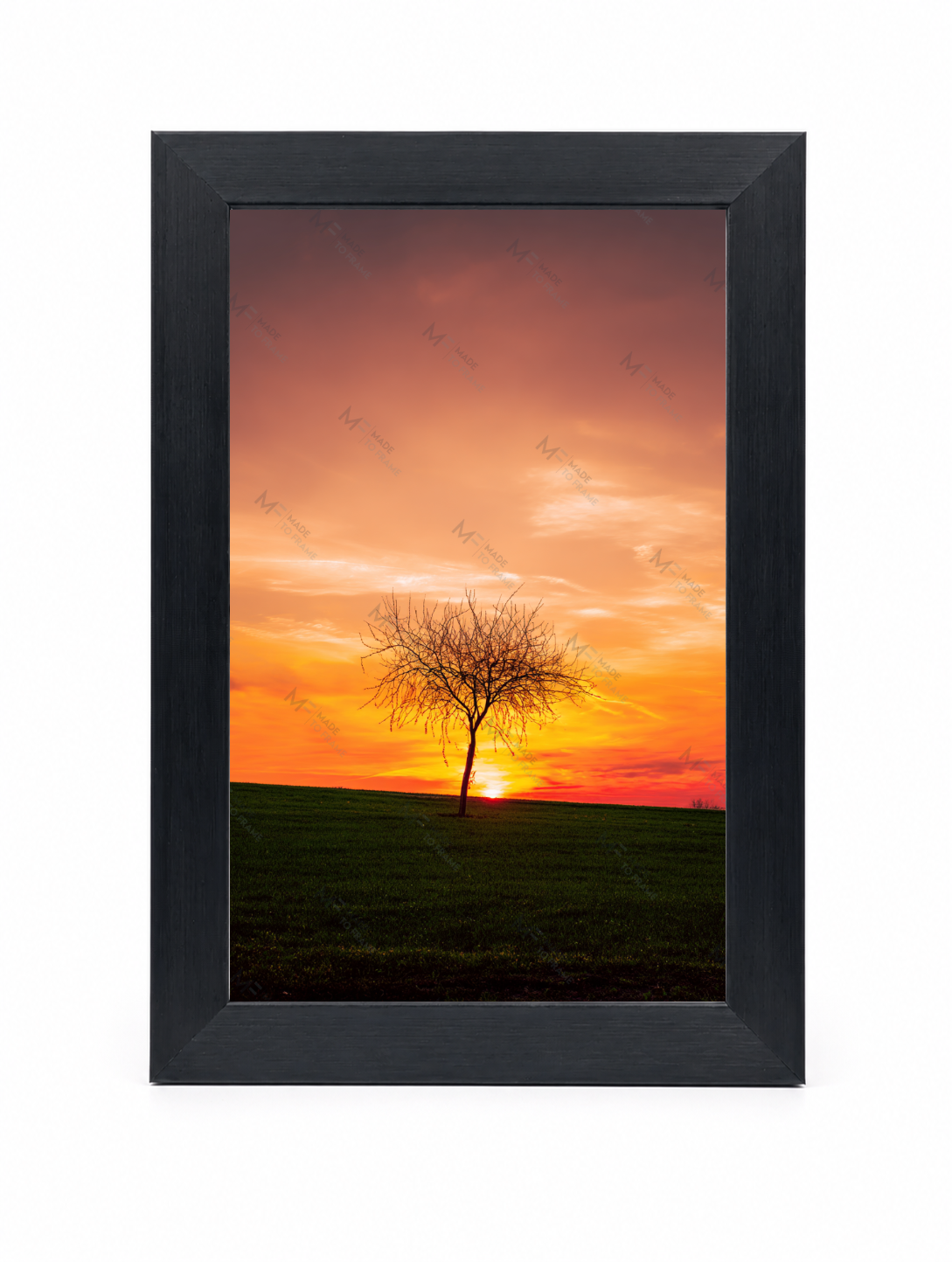 4x6 Front Black