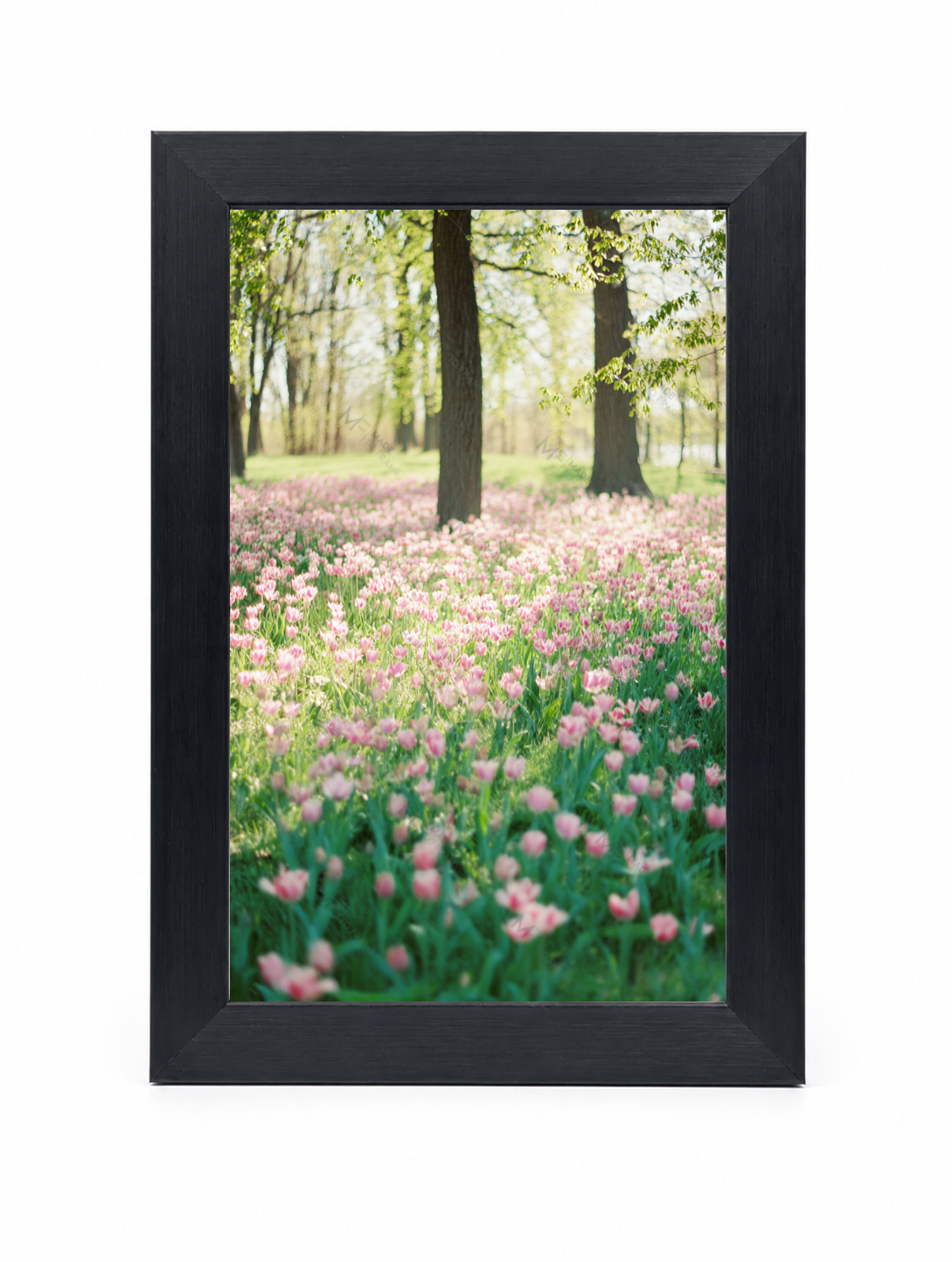 4x6 Front Black