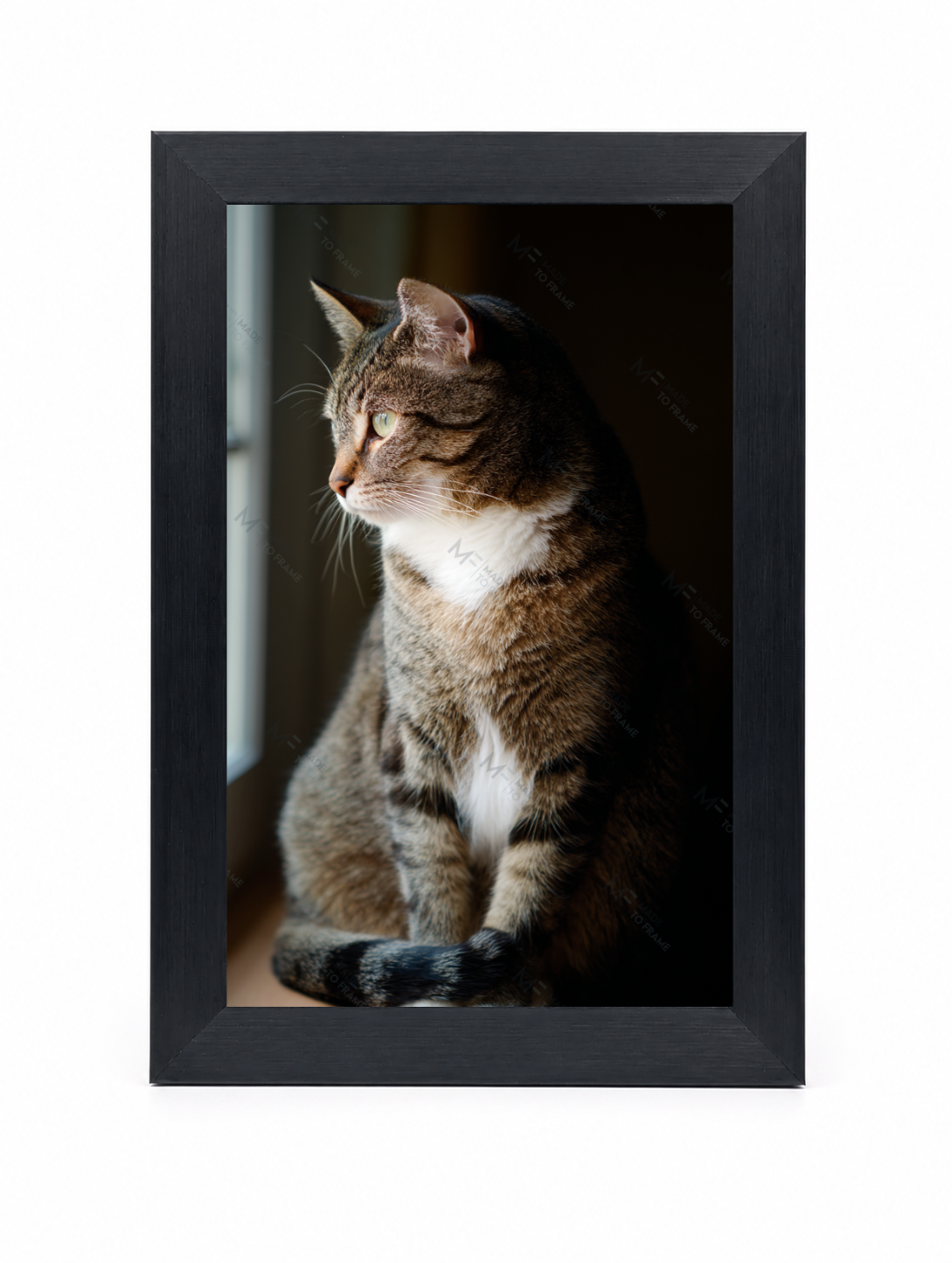 4x6 Front Black (5)