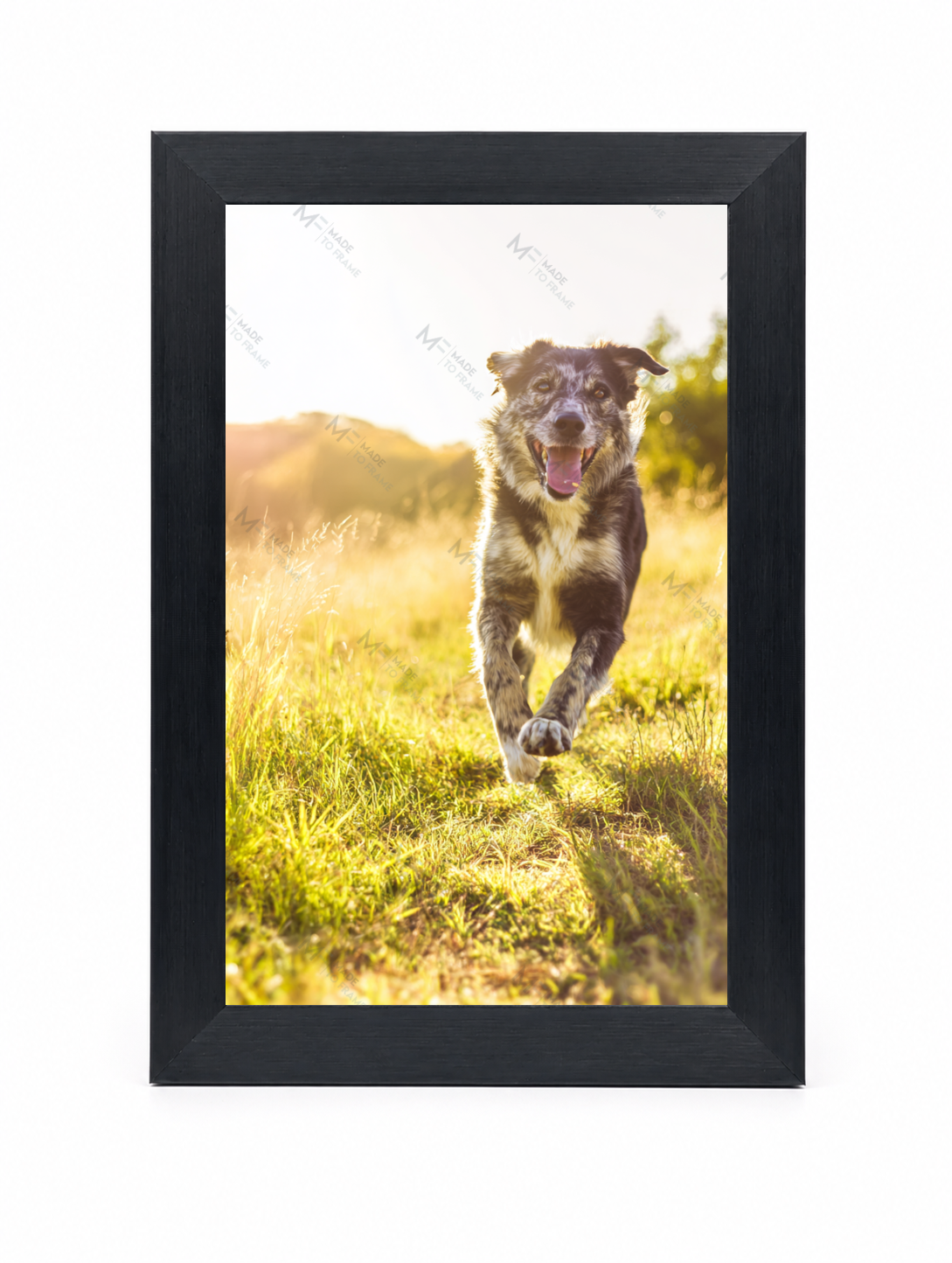 4x6 Front Black (6)